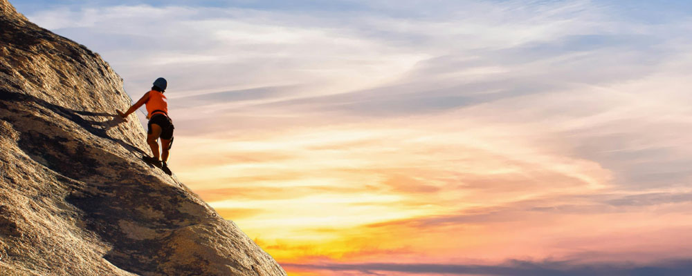 ��������VI-��Ʒ��ֵ������!